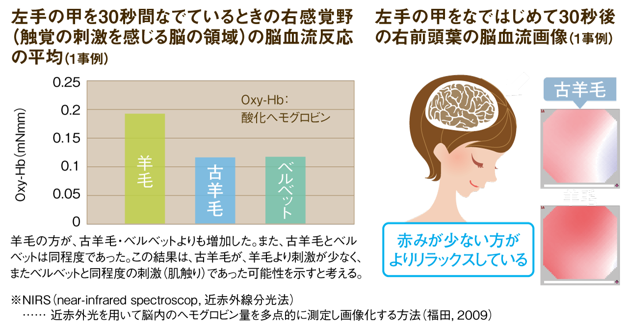 左手の甲を30秒間なでているときの右感覚野（触覚の刺激を感じる脳の領域）の脳血流反応の平均（1事例）羊毛の方が、古羊毛・ベルベットよりも増加した。また、古羊毛とベルベットは同程度であった。この結果は、古羊毛が、羊毛より刺激が少なく、またベルベットと同程度の刺激（肌触り）であった可能性を示すと考える。